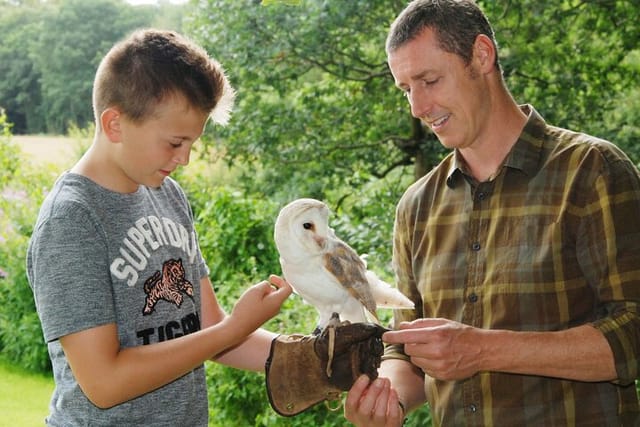 Private Family Bird of Prey Experience in Carlisle - Photo 1 of 6